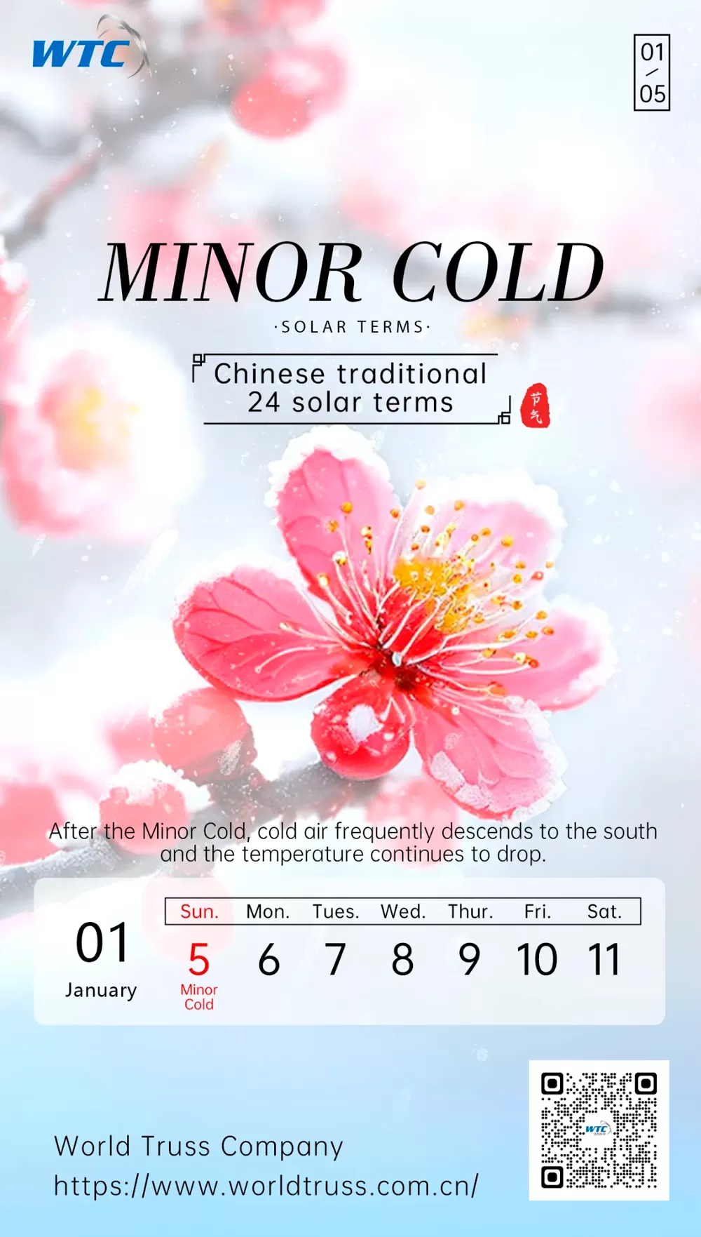 Minor Cold